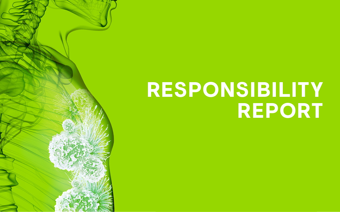 Informe de Responsabilidad 2024