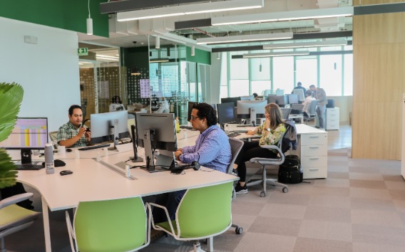 Personas sentadas trabajando con su computadora en una oficina verde y blanca